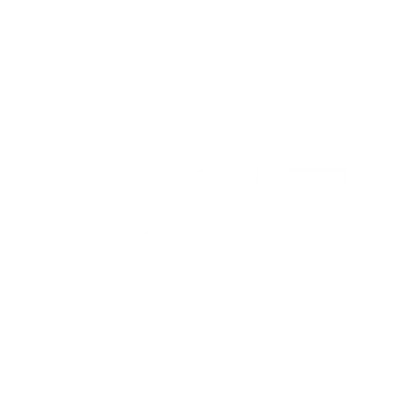 Logo-1001-electrodes-blancvect