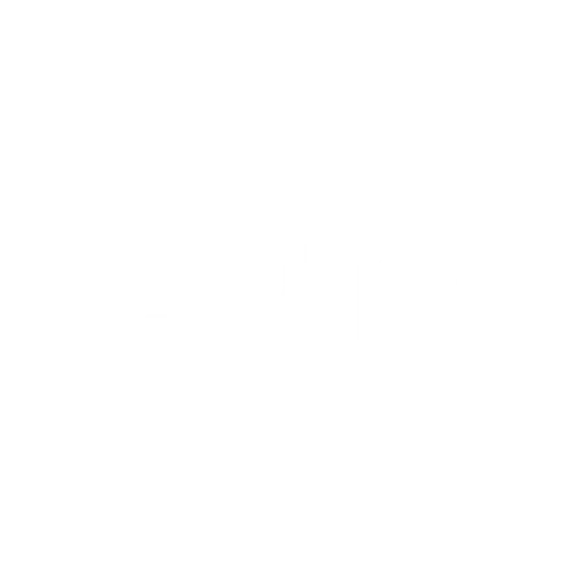Logo-ENVT-blancvect