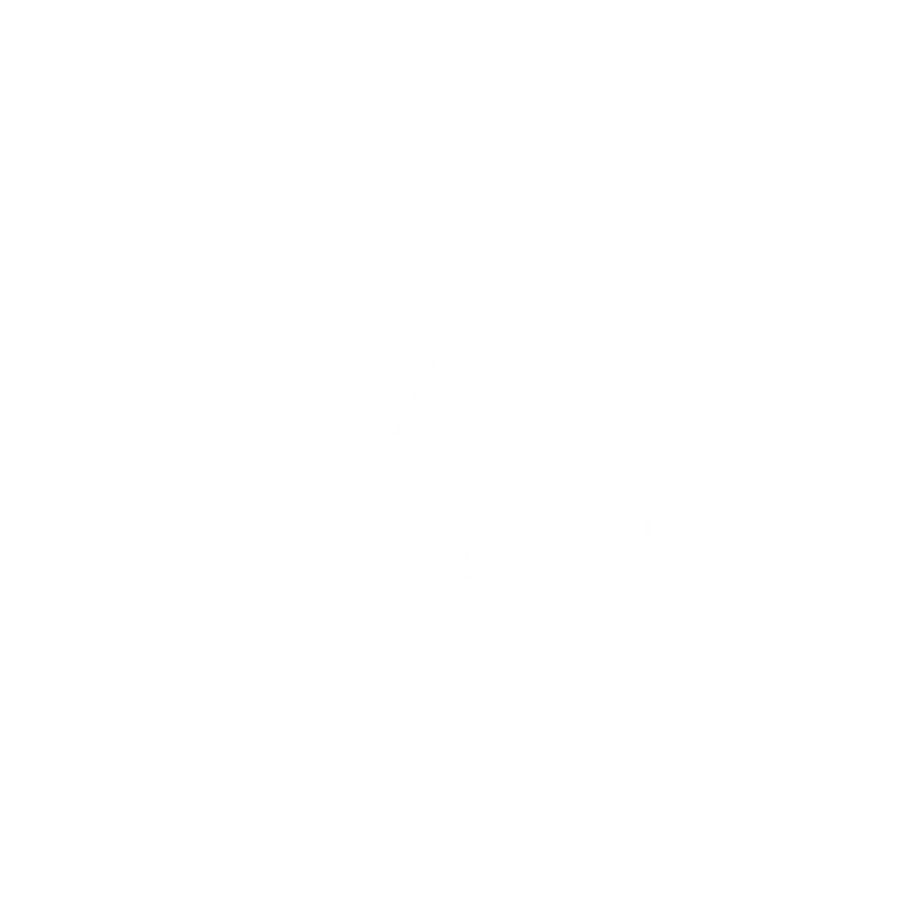 Logo-aliance-mobilier-blancvect