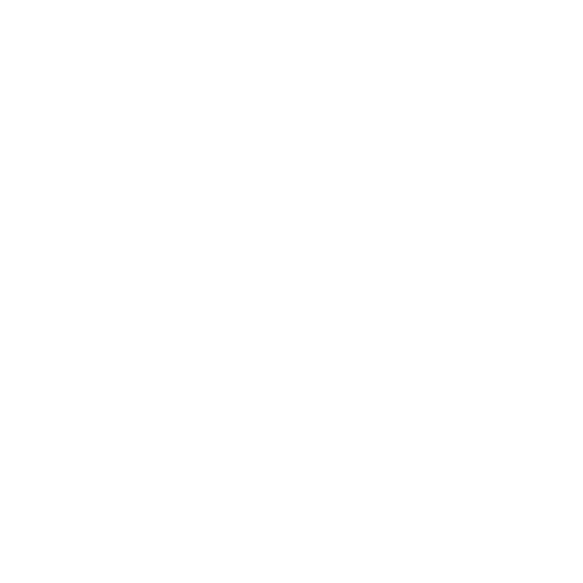 Logo-giroscop-blancvect