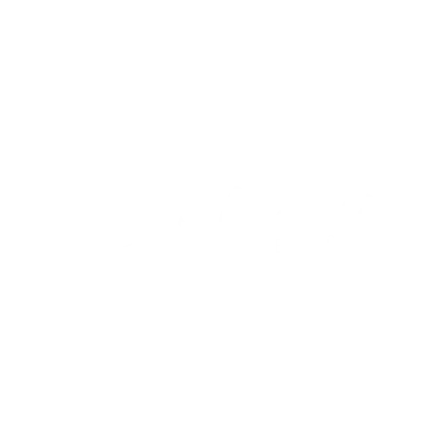 Logo-shaanti-blancvect